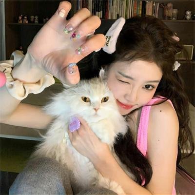 我来也大战四猛虎